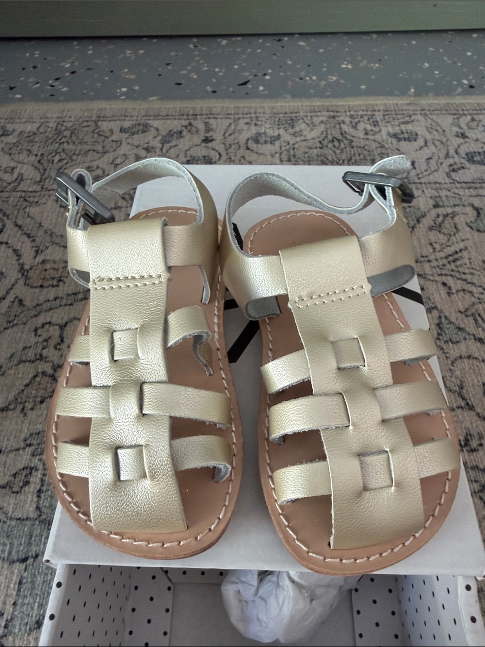 Freshly Picked Bixby II Sandals in Platinum Silver